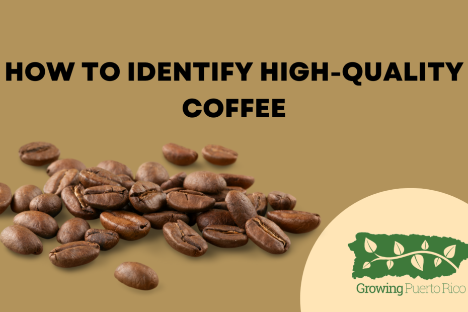 How to identify high quality coffee - GrowingPuertoRico